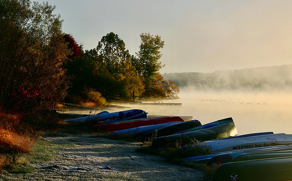 Foggy Morning