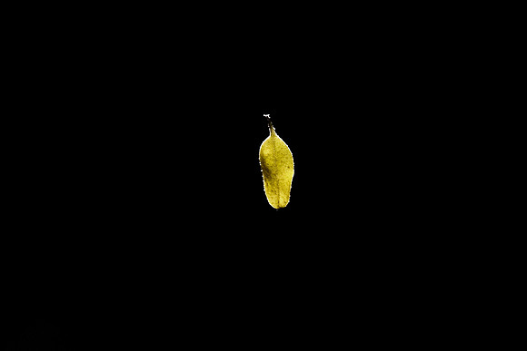 Image 21.05.2021 at 20.23