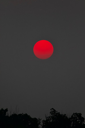 Hazy morning