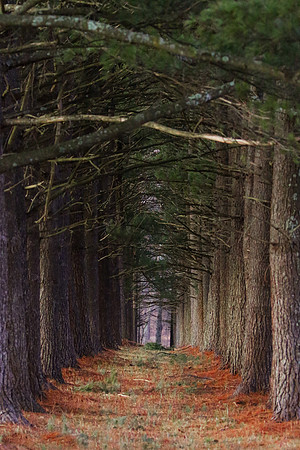 ... reaching to the other side