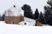Snowy day