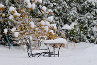 Snow covered