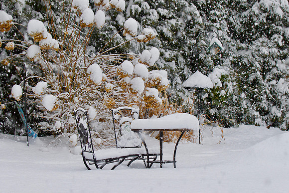 Snow covered